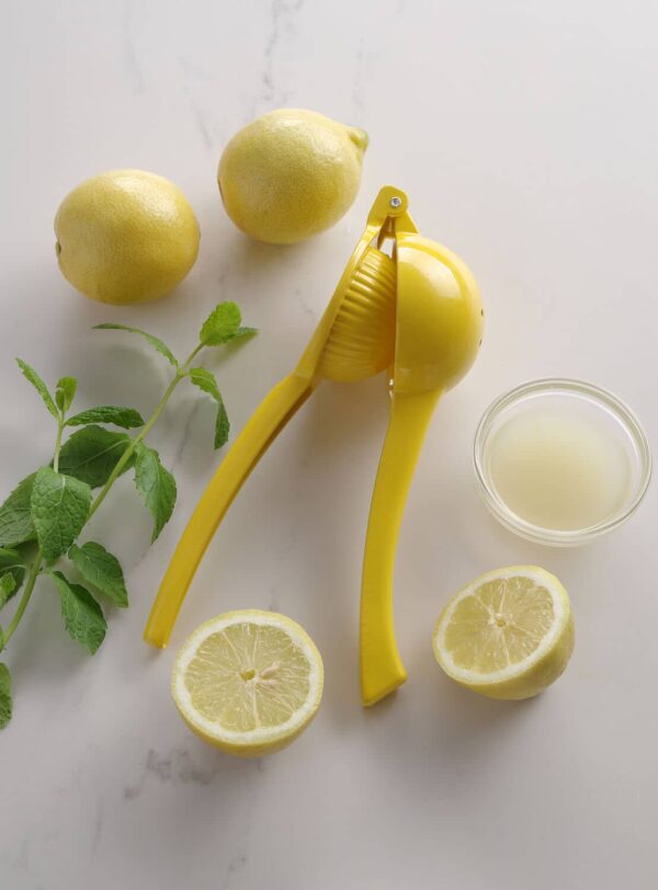 Citrusaugļu spiede, Dzeltena (citroniem), 223x75x(H)45mm, 592052, Bar up