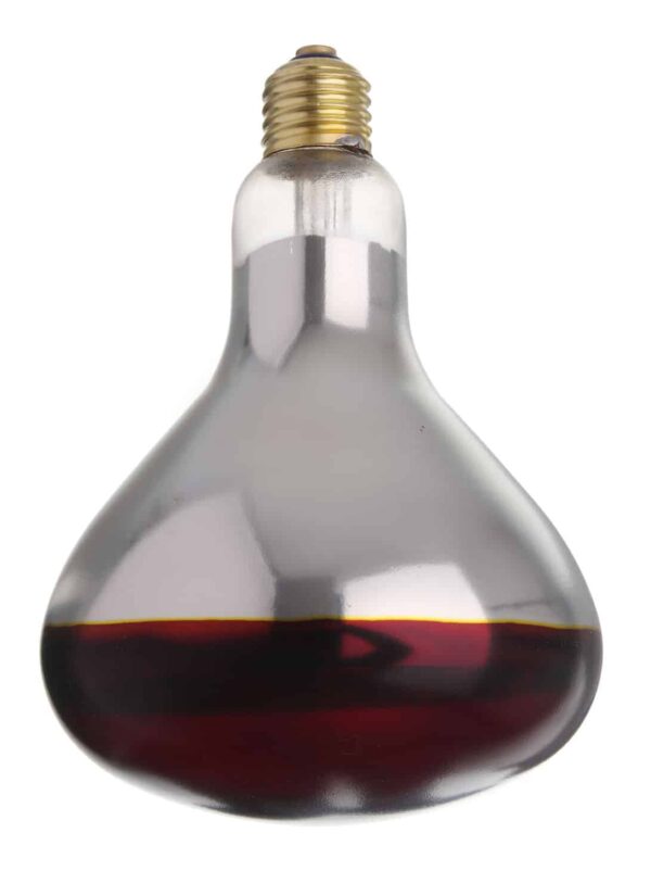 Infrasarkanā spuldzīte, 230V/250W, ø125x170mm, 919217, Hendi